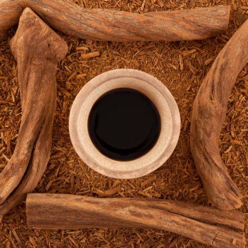 ayahuasca