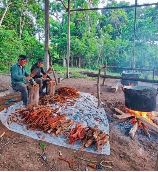 tribu3