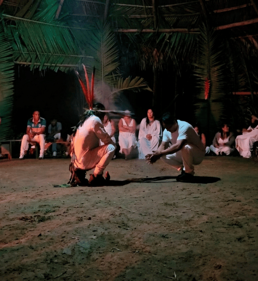 tribu5